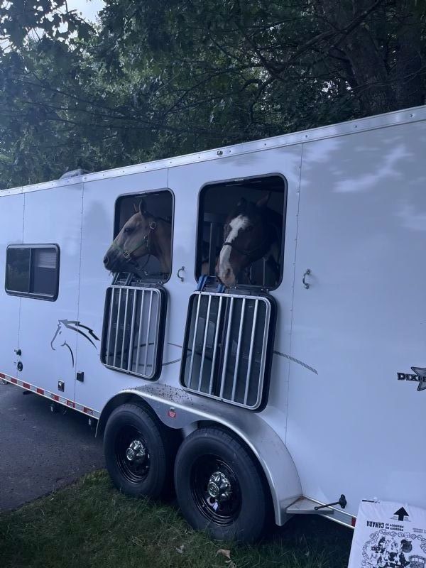 Used Horse Trailers for Sale