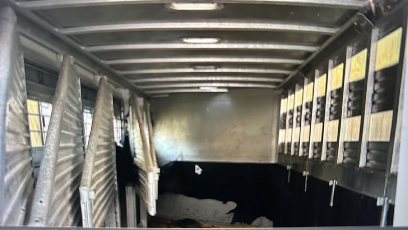 Used Horse Trailers for Sale