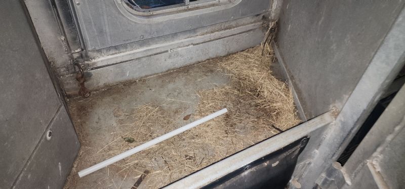 Used Horse Trailers for Sale