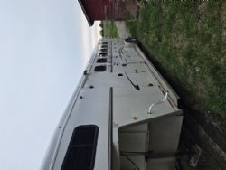 Horse Trailer for sale in NY