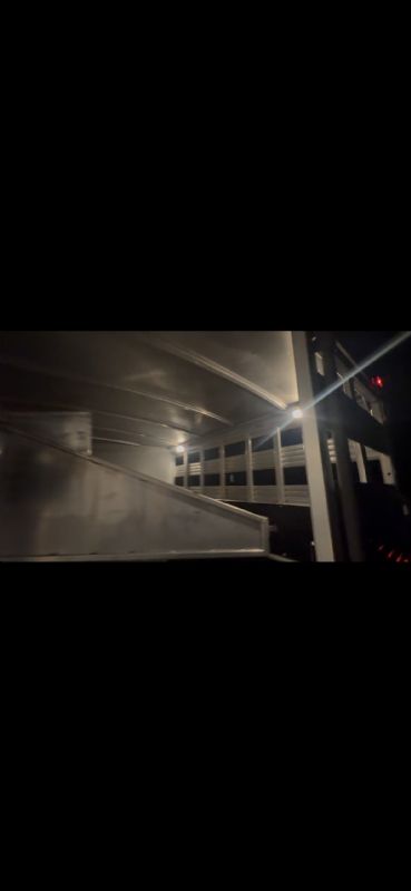 Used Horse Trailers for Sale