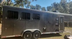 2024 Bison Ranger LE