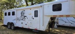2013 Bison Trailhand
