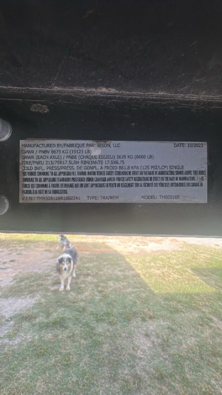 Used Horse Trailers for Sale