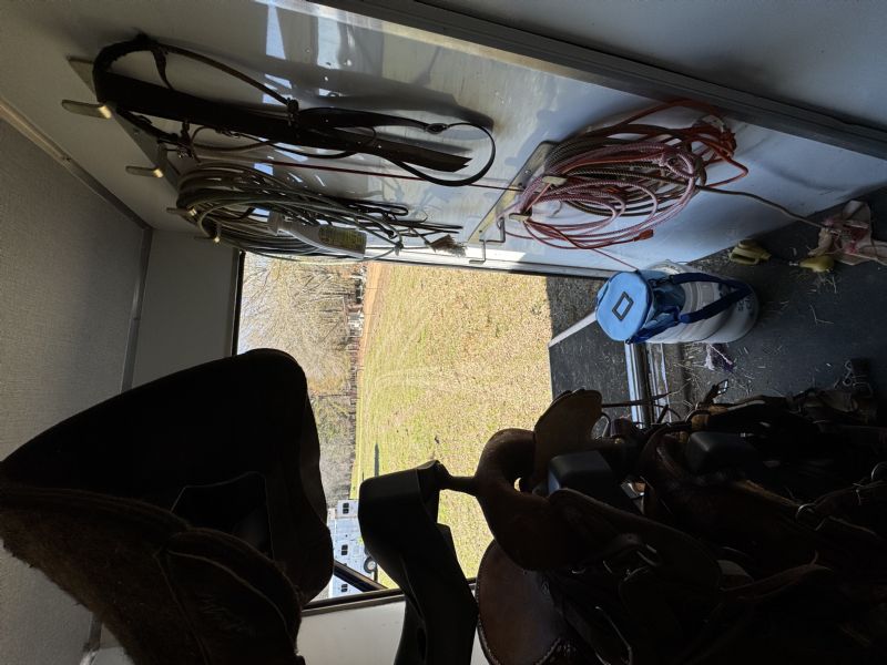 Used Horse Trailers for Sale