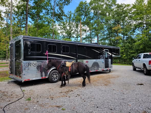Used Horse Trailers for Sale