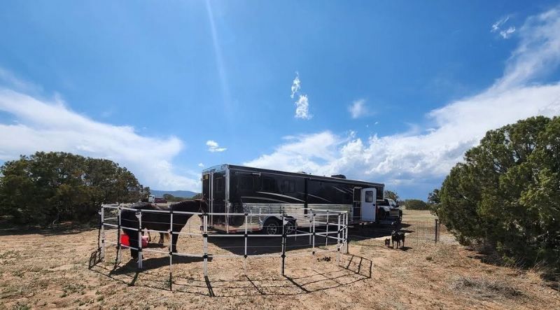 Used Horse Trailers for Sale