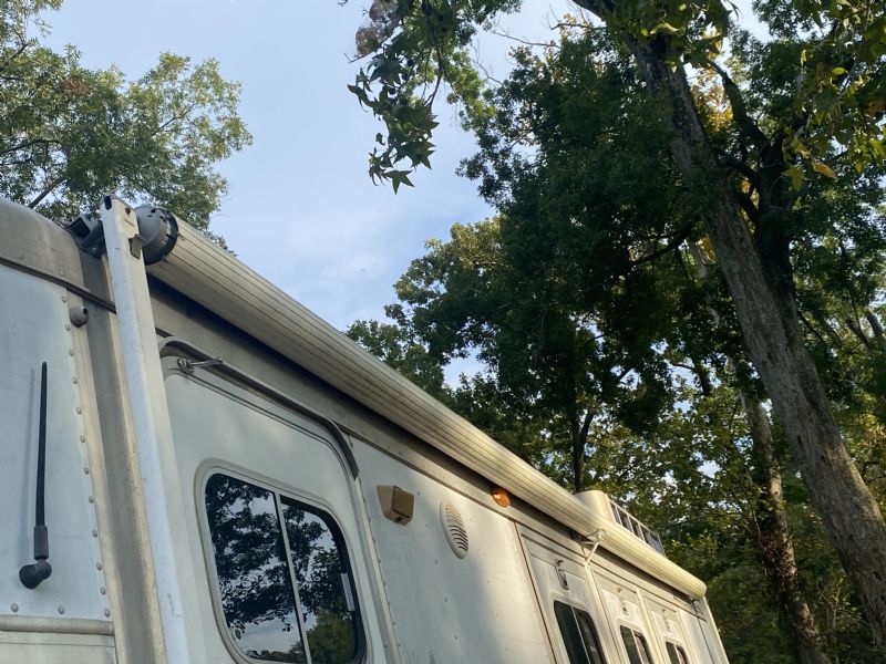 Used Horse Trailers for Sale